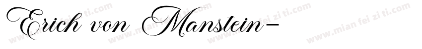 Erich von Manstein字体转换